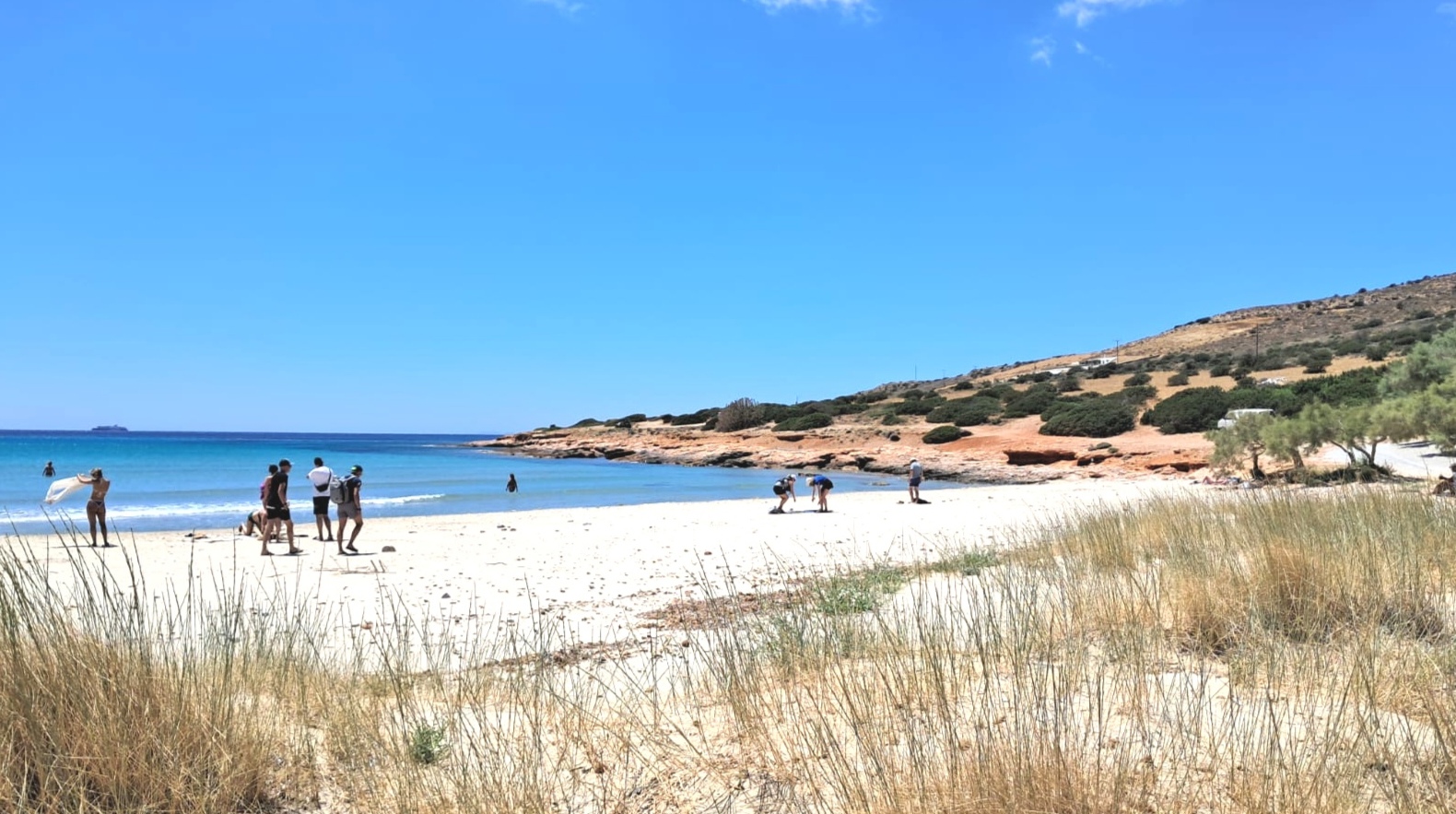 The Golden Seaside Tour — scene 4