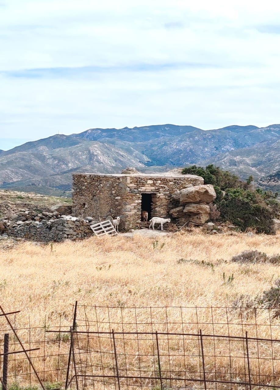 The Wild Luxury Tour quad tour on Naxos
